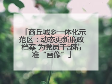商丘城乡一体化示范区：动态更新廉政档案 为党员干部精准“画像”