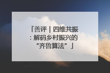善评｜四维共振：解码乡村振兴的“齐鲁算法”