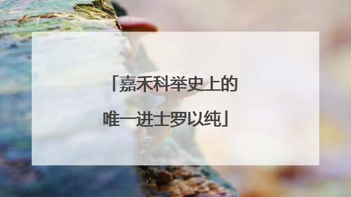 嘉禾科举史上的唯一进士罗以纯