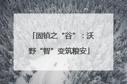 固镇之“谷”：沃野“智”变筑粮安