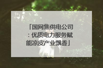 国网焦供电公司：优质电力服务赋能凉皮产业飘香
