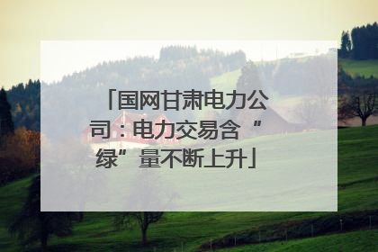 国网甘肃电力公司：电力交易含“绿”量不断上升