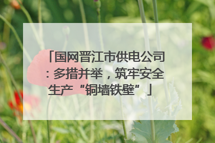 国网晋江市供电公司：多措并举，筑牢安全生产“铜墙铁壁”