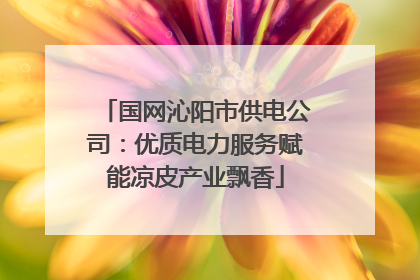 国网沁阳市供电公司：优质电力服务赋能凉皮产业飘香