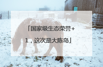 国家级生态荣誉+1，这次是大陈岛