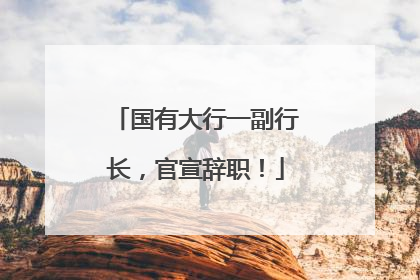 国有大行一副行长，官宣辞职！