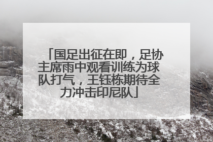国足出征在即，足协主席雨中观看训练为球队打气，王钰栋期待全力冲击印尼队
