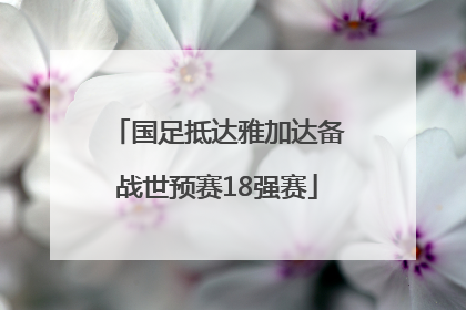 国足抵达雅加达备战世预赛18强赛