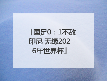 国足0：1不敌印尼 无缘2026年世界杯