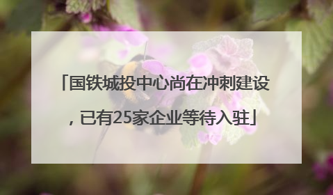 国铁城投中心尚在冲刺建设，已有25家企业等待入驻
