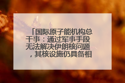 国际原子能机构总干事：通过军事手段无法解决伊朗核问题，其核设施仍具备相关产能，只需要数月就能生产出浓缩铀