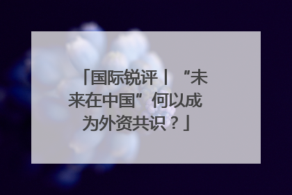 国际锐评丨“未来在中国”何以成为外资共识？