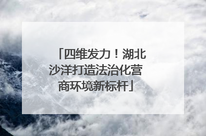四维发力！湖北沙洋打造法治化营商环境新标杆