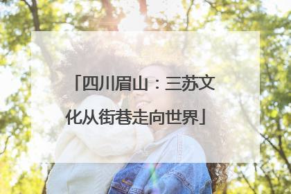 四川眉山：三苏文化从街巷走向世界