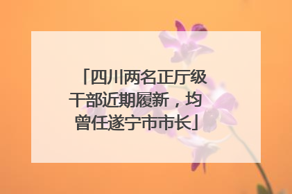 四川两名正厅级干部近期履新，均曾任遂宁市市长