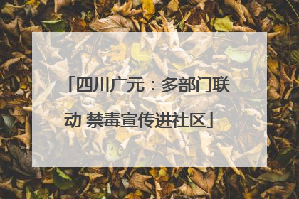 四川广元：多部门联动 禁毒宣传进社区