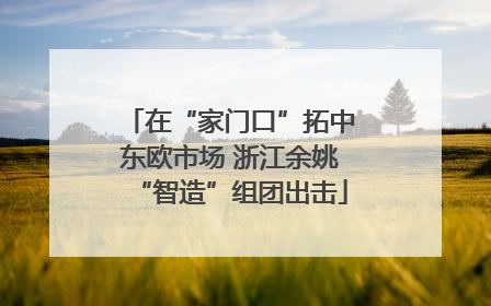在“家门口”拓中东欧市场 浙江余姚“智造”组团出击
