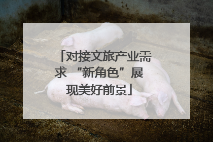 对接文旅产业需求 “新角色”展现美好前景