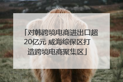 对韩跨境电商进出口超20亿元 威海综保区打造跨境电商聚集区