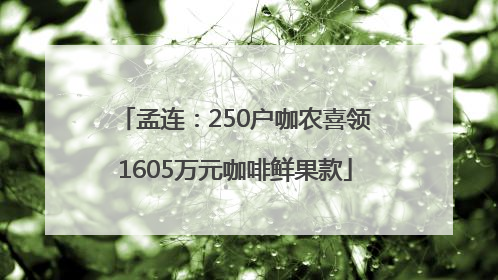孟连：250户咖农喜领1605万元咖啡鲜果款