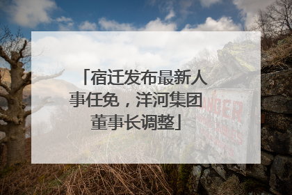 宿迁发布最新人事任免，洋河集团董事长调整