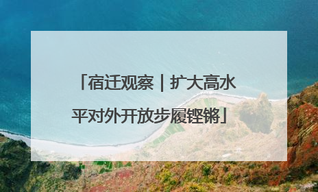 宿迁观察｜扩大高水平对外开放步履铿锵
