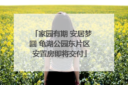 家园有期 安居梦圆 龟湖公园东片区安置房即将交付