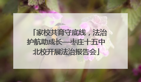 家校共育守底线，法治护航助成长—枣庄十五中北校开展法治报告会