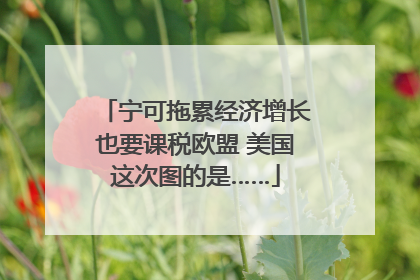 宁可拖累经济增长也要课税欧盟 美国这次图的是……