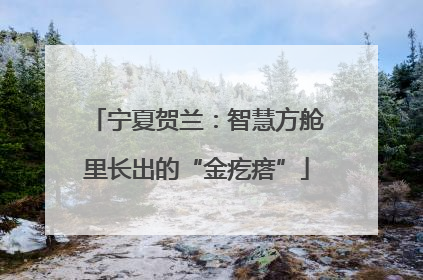 宁夏贺兰：智慧方舱里长出的“金疙瘩”