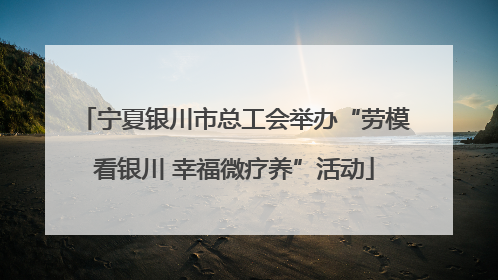 宁夏银川市总工会举办“劳模看银川 幸福微疗养”活动