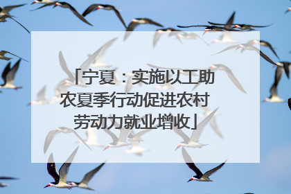 宁夏：实施以工助农夏季行动促进农村劳动力就业增收