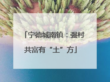 宁德城南镇：强村共富有“土”方