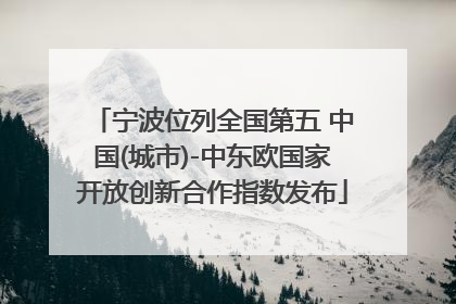 宁波位列全国第五 中国(城市)-中东欧国家开放创新合作指数发布