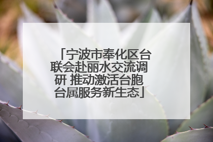 宁波市奉化区台联会赴丽水交流调研 推动激活台胞台属服务新生态