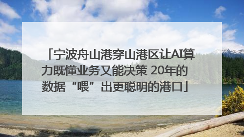 宁波舟山港穿山港区让AI算力既懂业务又能决策 20年的数据“喂”出更聪明的港口