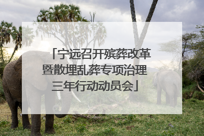 宁远召开殡葬改革暨散埋乱葬专项治理三年行动动员会