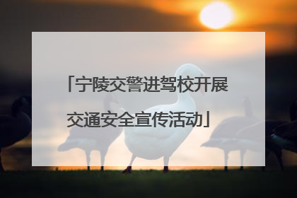 宁陵交警进驾校开展交通安全宣传活动