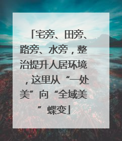 宅旁、田旁、路旁、水旁，整治提升人居环境，这里从“一处美”向“全域美”蝶变