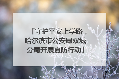守护平安上学路，哈尔滨市公安局双城分局开展夏防行动