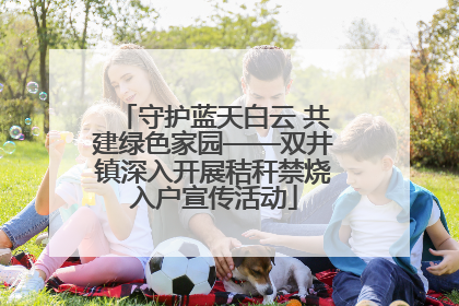 守护蓝天白云 共建绿色家园——双井镇深入开展秸秆禁烧入户宣传活动
