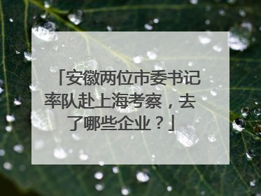 安徽两位市委书记率队赴上海考察，去了哪些企业？