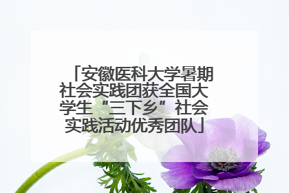 安徽医科大学暑期社会实践团获全国大学生“三下乡”社会实践活动优秀团队