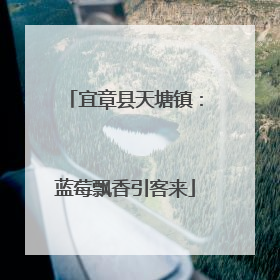 宜章县天塘镇：蓝莓飘香引客来