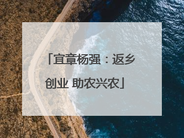 宜章杨强：返乡创业 助农兴农