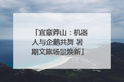 宜章莽山：机器人与企鹅共舞 暑期文旅场景焕新