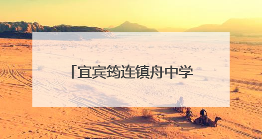 宜宾筠连镇舟中学：心怀家国粽中情，米香漫溢求知路