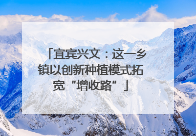 宜宾兴文：这一乡镇以创新种植模式拓宽“增收路”