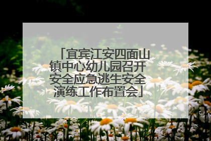 宜宾江安四面山镇中心幼儿园召开安全应急逃生安全演练工作布置会