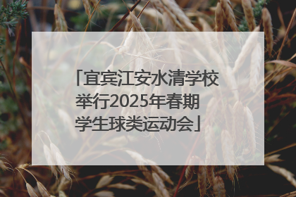 宜宾江安水清学校举行2025年春期学生球类运动会